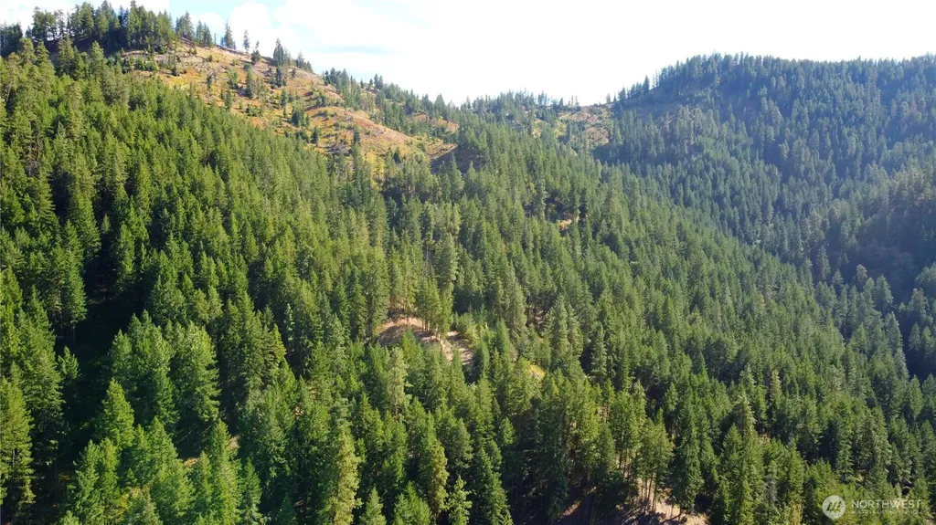 0 Brisky Canyon Cashmere WA 98858