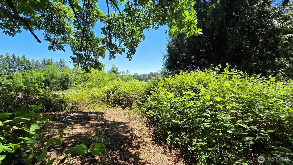 123 Mulford Road Toledo WA 98591