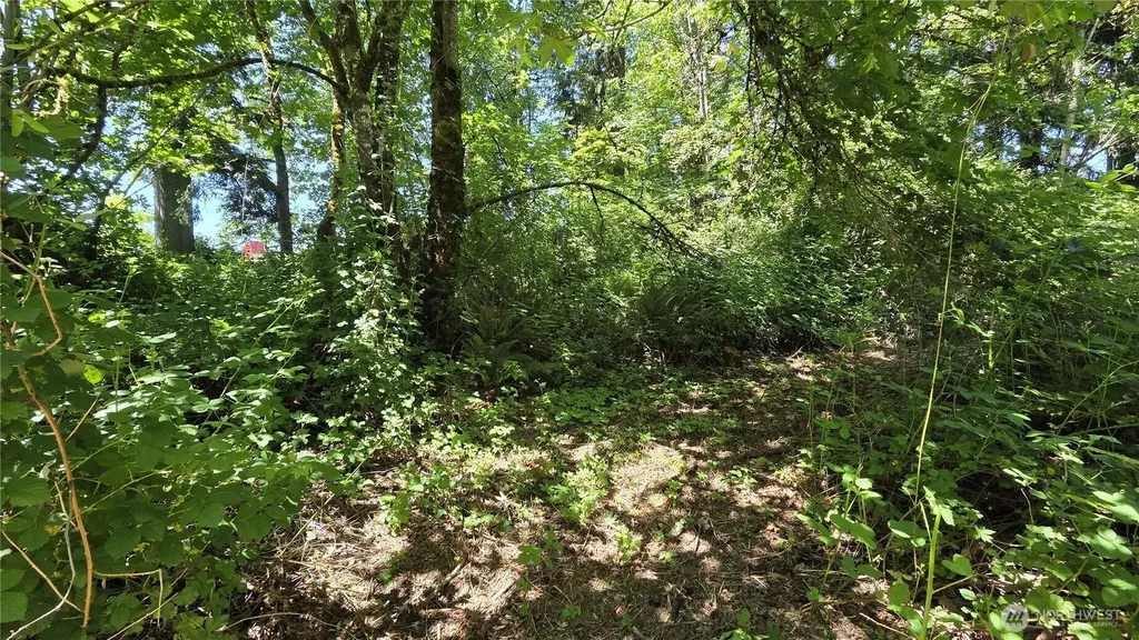 123 Mulford Road Toledo WA 98591
