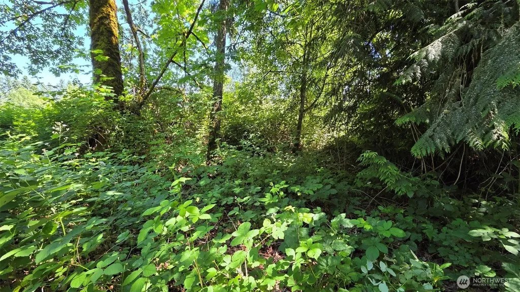 123 Mulford Road Toledo WA 98591