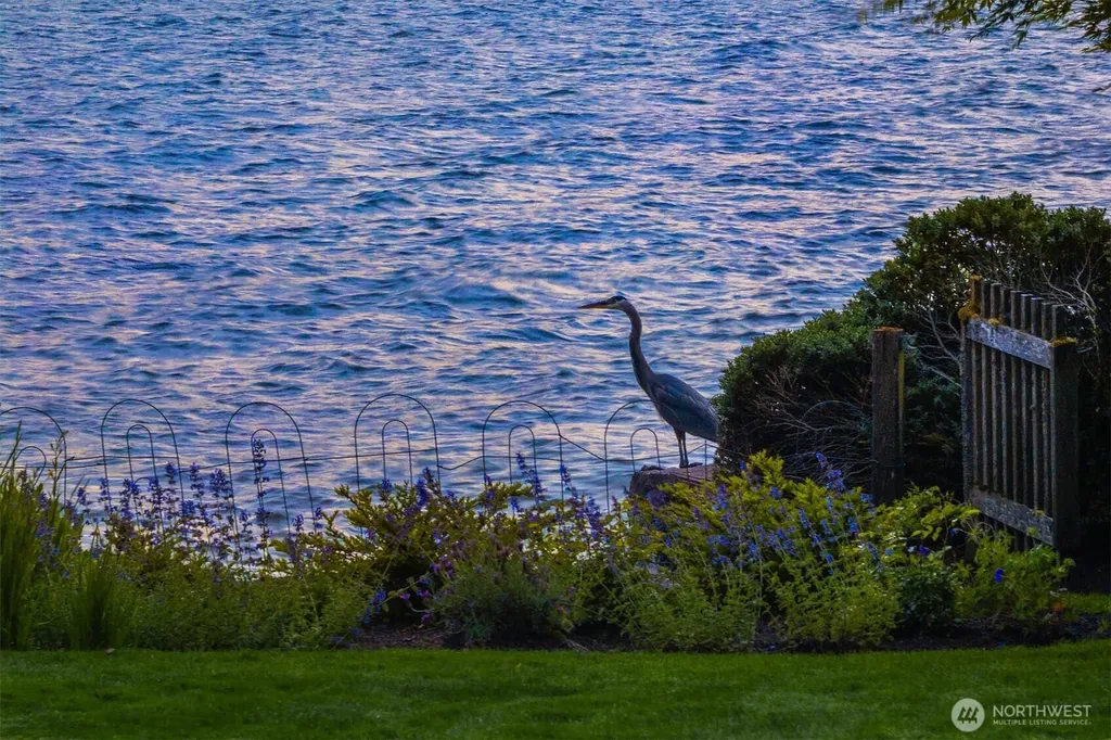 Medina WA 98039