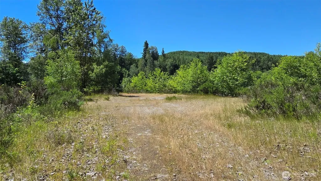260 Riverview Drive Castle Rock WA 98611