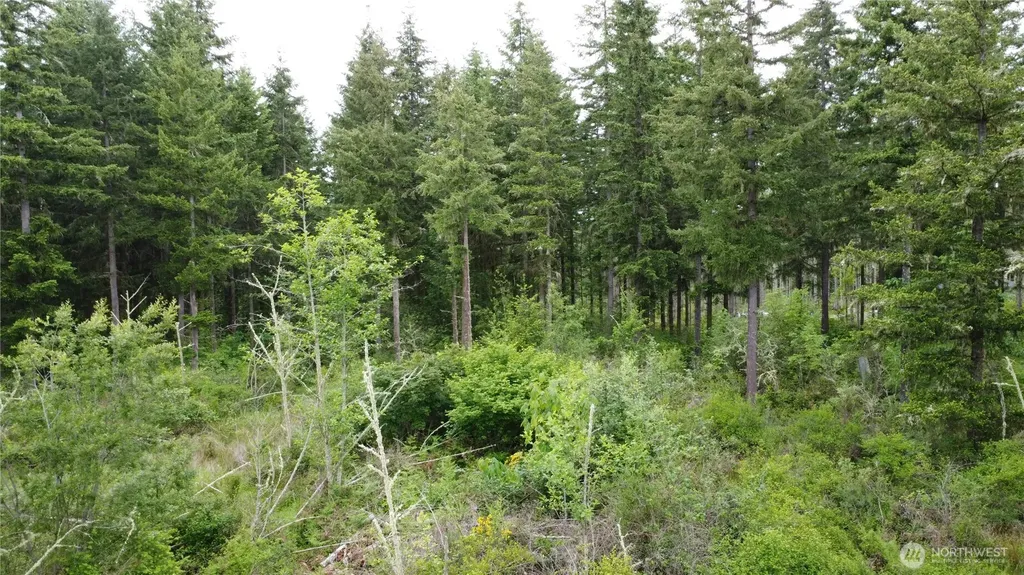 42911 28th Avenue E Eatonville WA 98328