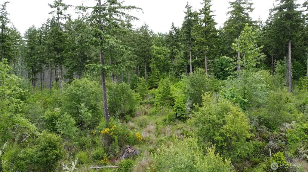 42911 28th Avenue E Eatonville WA 98328
