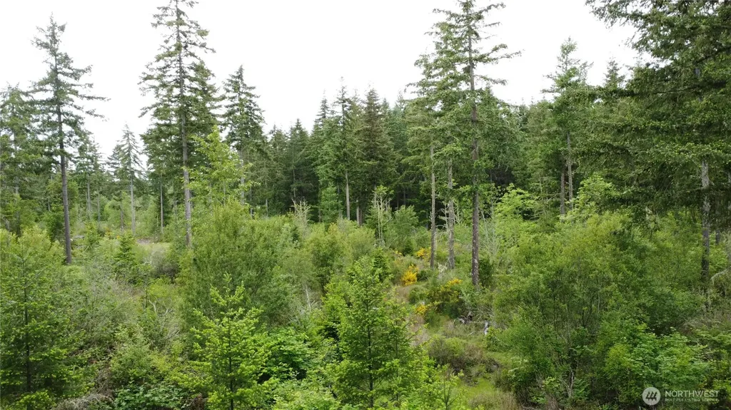 42911 28th Avenue E Eatonville WA 98328
