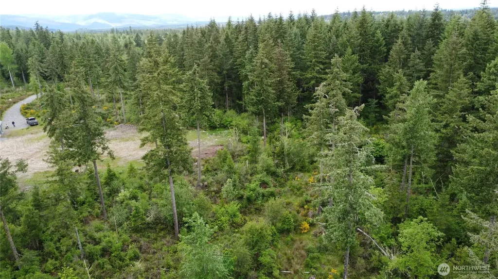 42911 28th Avenue E Eatonville WA 98328