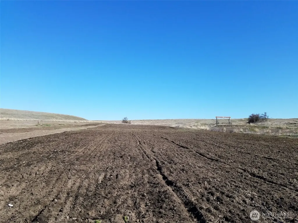 20 Seven Springs Dairy Road Davenport WA 99122