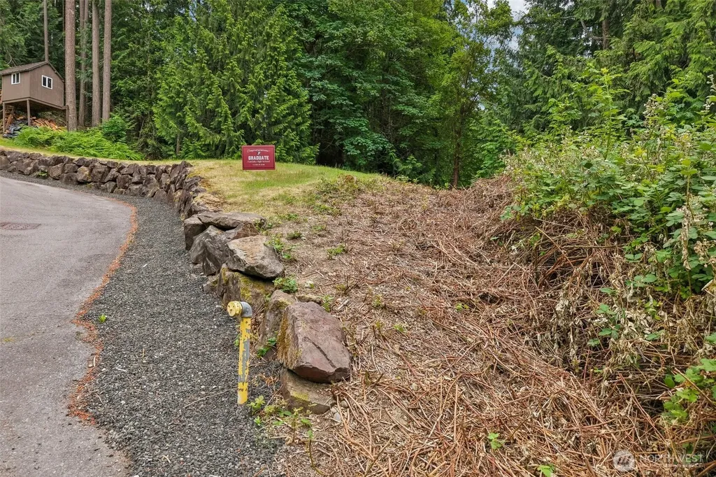 0 205th Avenue NE Sammamish WA 98074