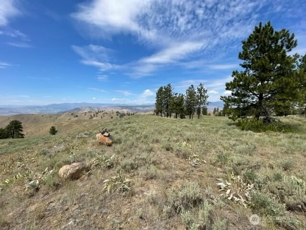 1 Alta Vista Way Orondo WA 98816