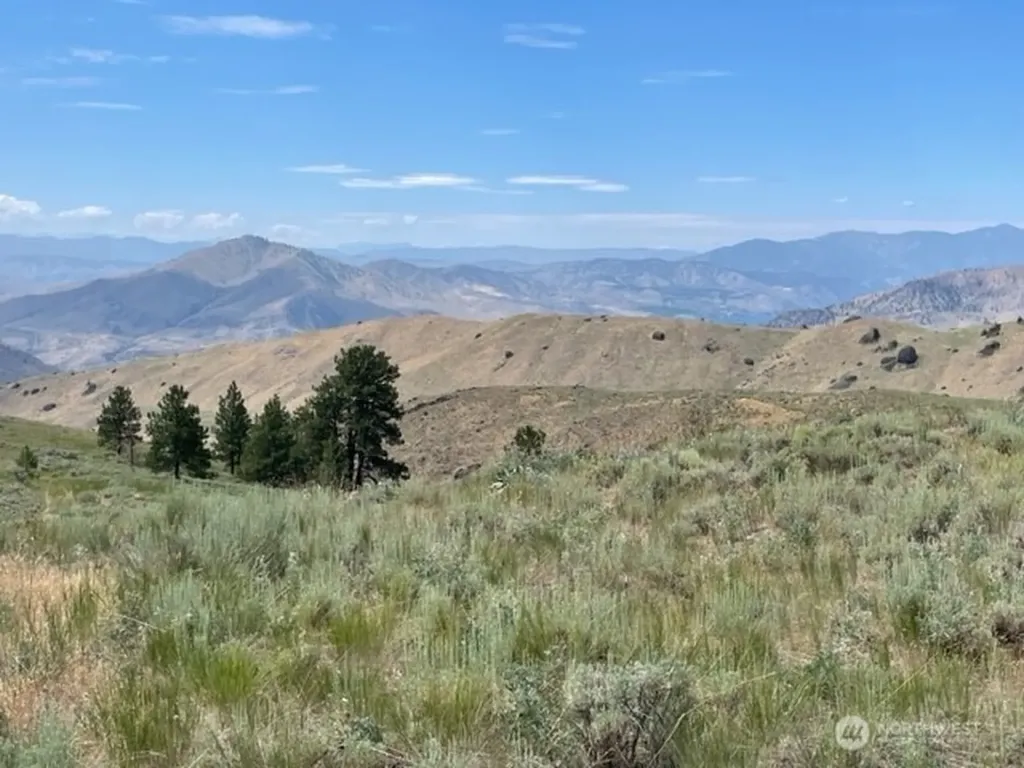1 Alta Vista Way Orondo WA 98816