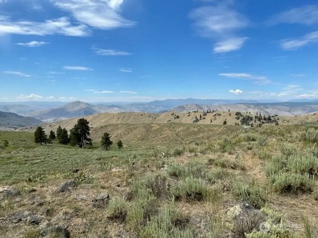 1 Alta Vista Way Orondo WA 98816