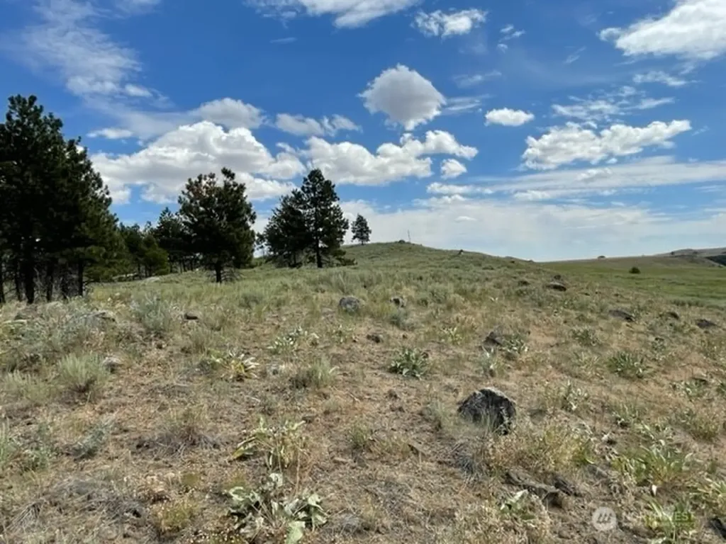 1 Alta Vista Way Orondo WA 98816