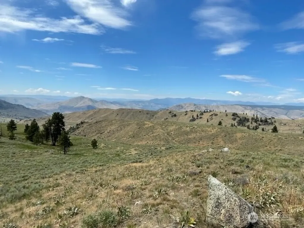 1 Alta Vista Way Orondo WA 98816