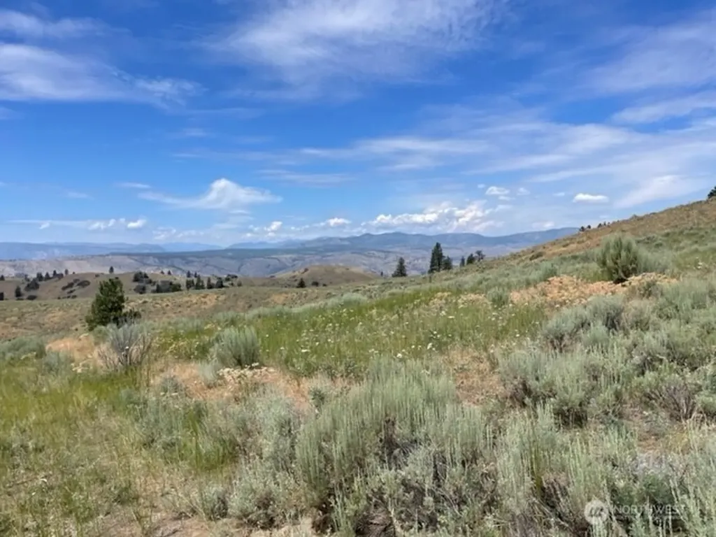 1 Alta Vista Way Orondo WA 98816