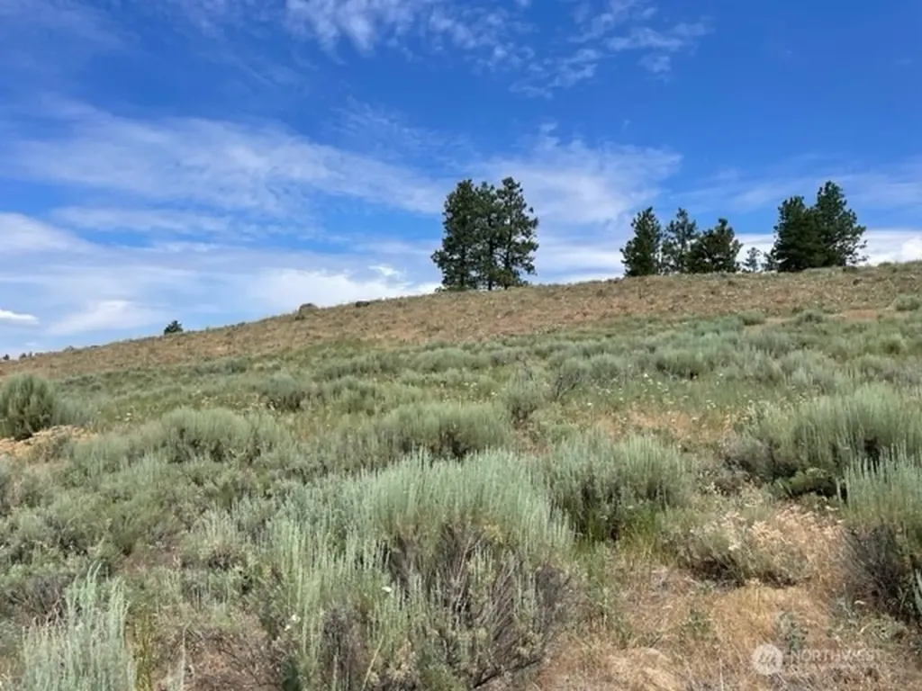 1 Alta Vista Way Orondo WA 98816