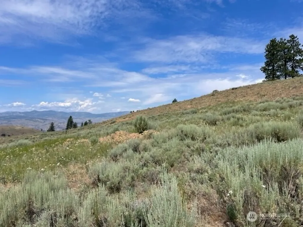 1 Alta Vista Way Orondo WA 98816
