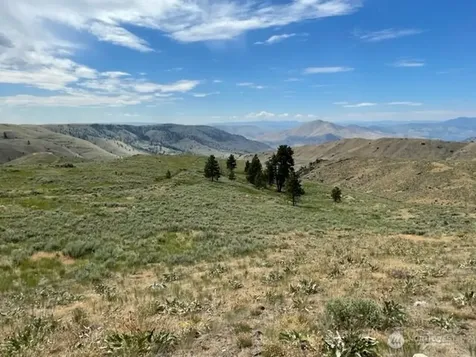 1 Alta Vista Way Orondo WA 98816