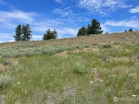 1 Alta Vista Way Orondo WA 98816