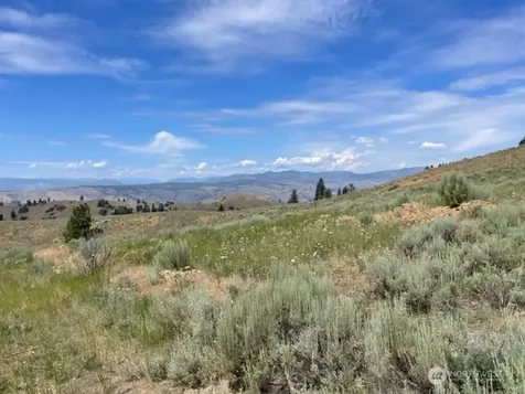 1 Alta Vista Way Orondo WA 98816