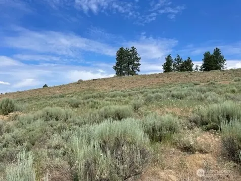 1 Alta Vista Way Orondo WA 98816