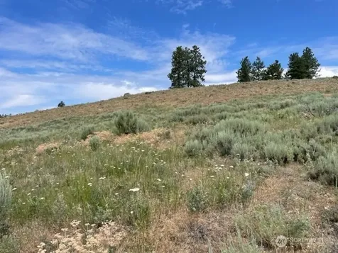 1 Alta Vista Way Orondo WA 98816