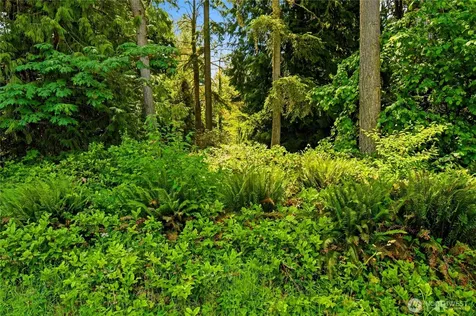 21 NE 133rd Street Woodinville WA 98077