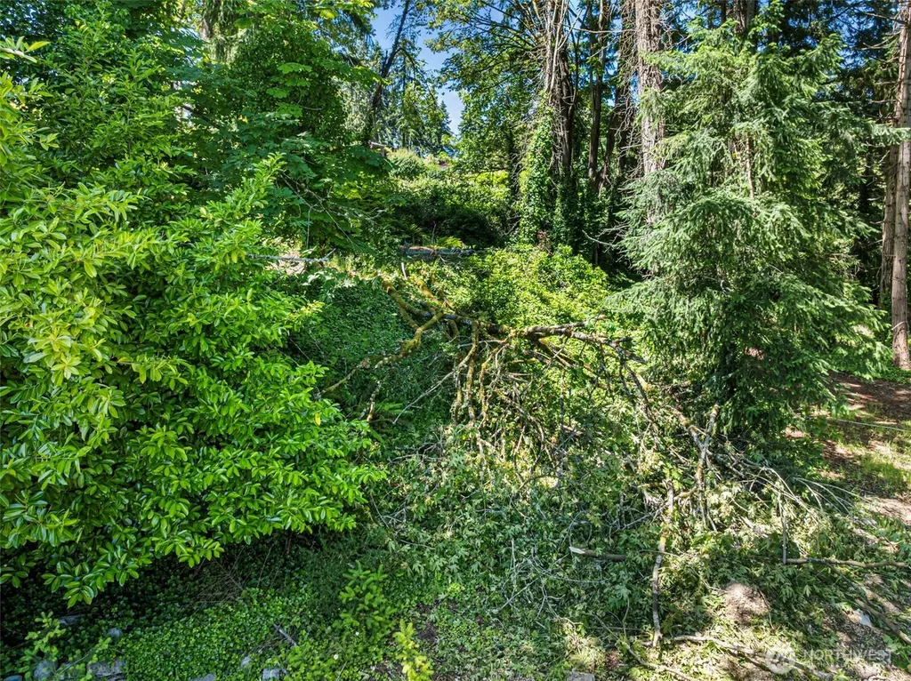 14447 Crescent Valley Road NE Olalla WA 98359
