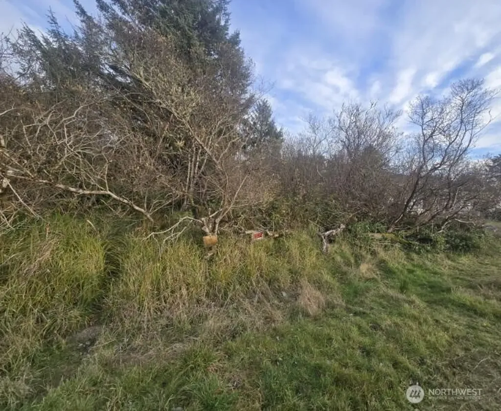 570 NE Puffin Avenue Ocean Shores WA 98569