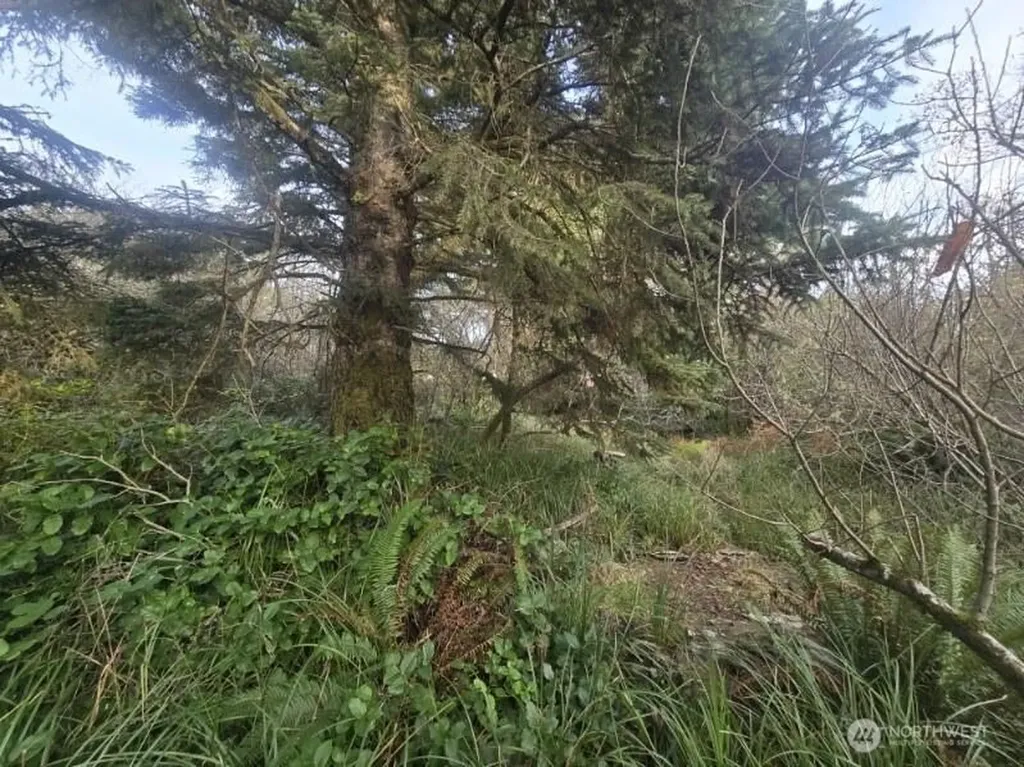 570 NE Puffin Avenue Ocean Shores WA 98569
