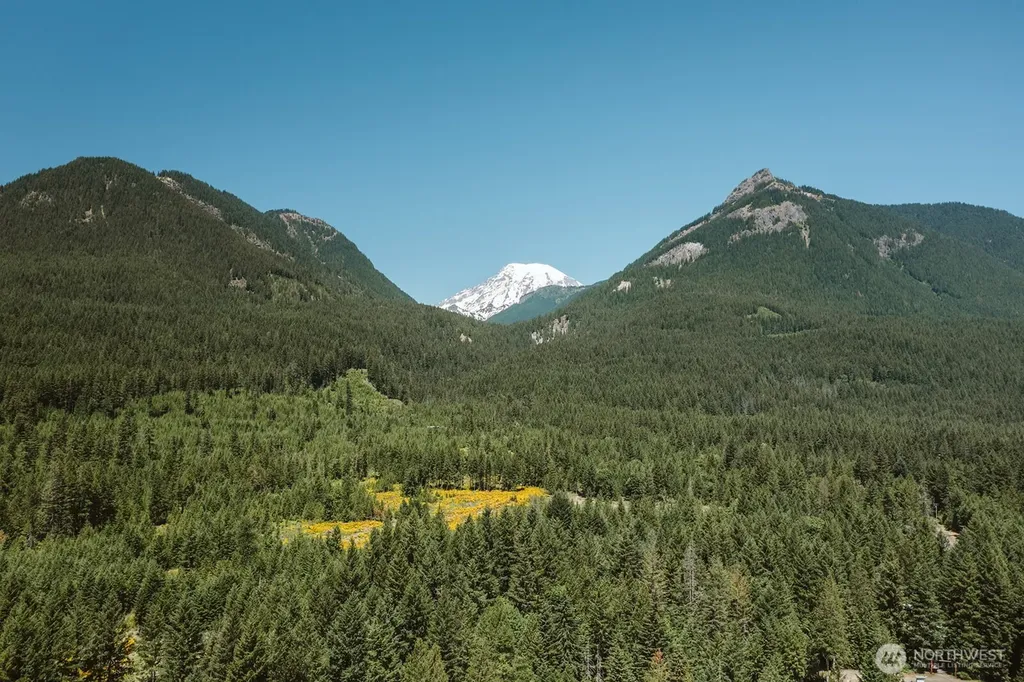 109 Mt Rainier Drive Packwood WA 98361