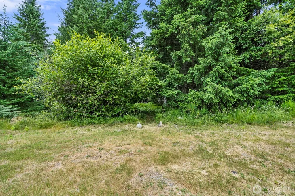 128 Riverdance Lane Packwood WA 98361