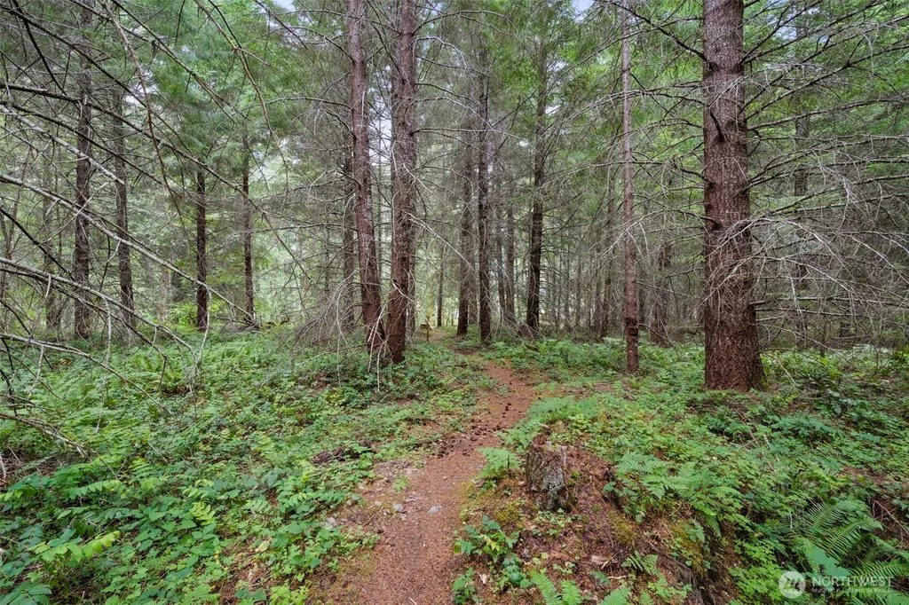 128 Riverdance Lane Packwood WA 98361