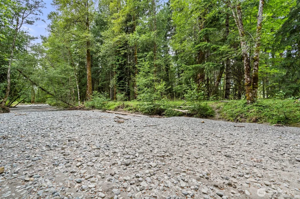 128 Riverdance Lane Packwood WA 98361
