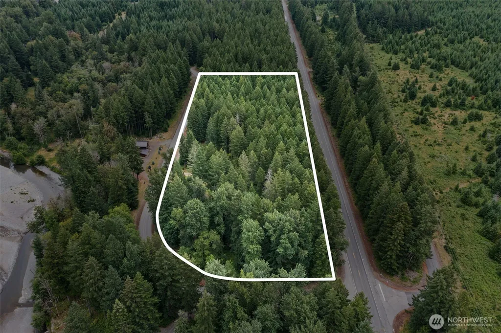 128 Riverdance Lane Packwood WA 98361