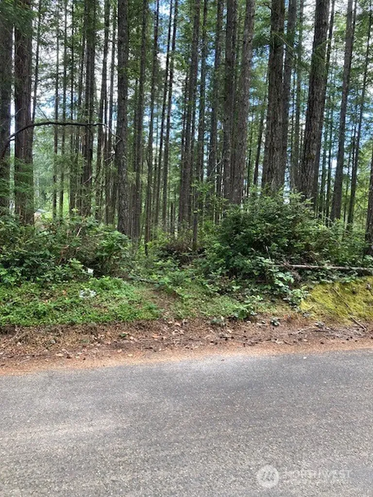 9920 Fairview Lake Road SW Port Orchard WA 98367