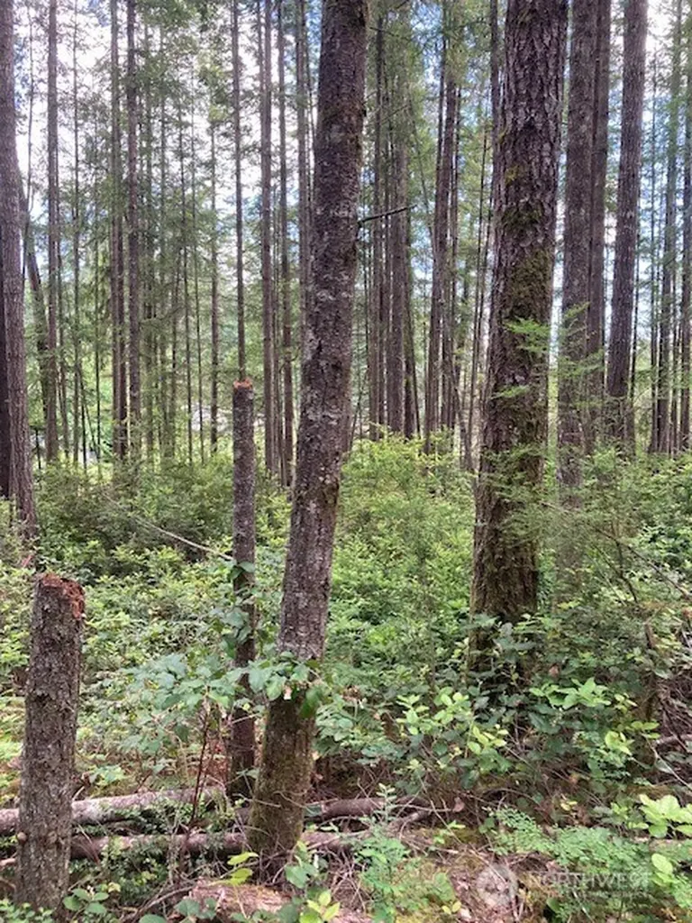 9920 Fairview Lake Road SW Port Orchard WA 98367