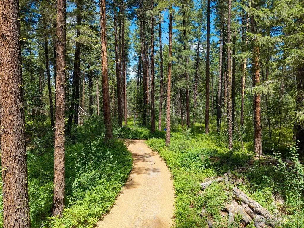 27 Kumm Road Mazama WA 98833