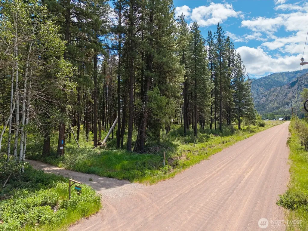 27 Kumm Road Mazama WA 98833