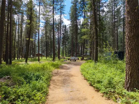 27 Kumm Road Mazama WA 98833