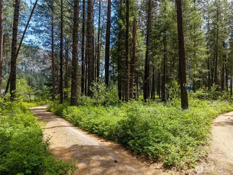 27 Kumm Road Mazama WA 98833