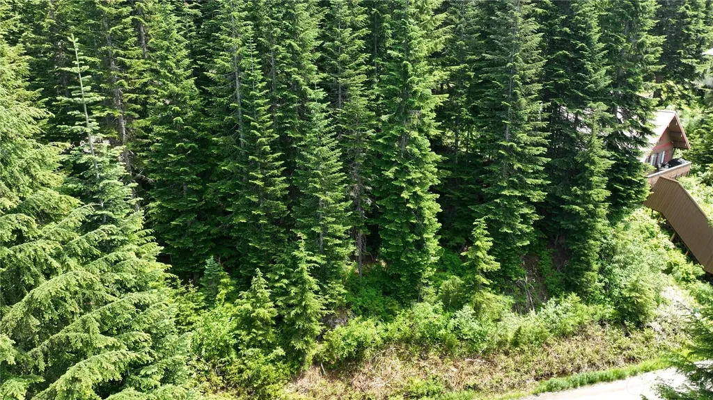30 Saint Anton Snoqualmie Pass WA 98068