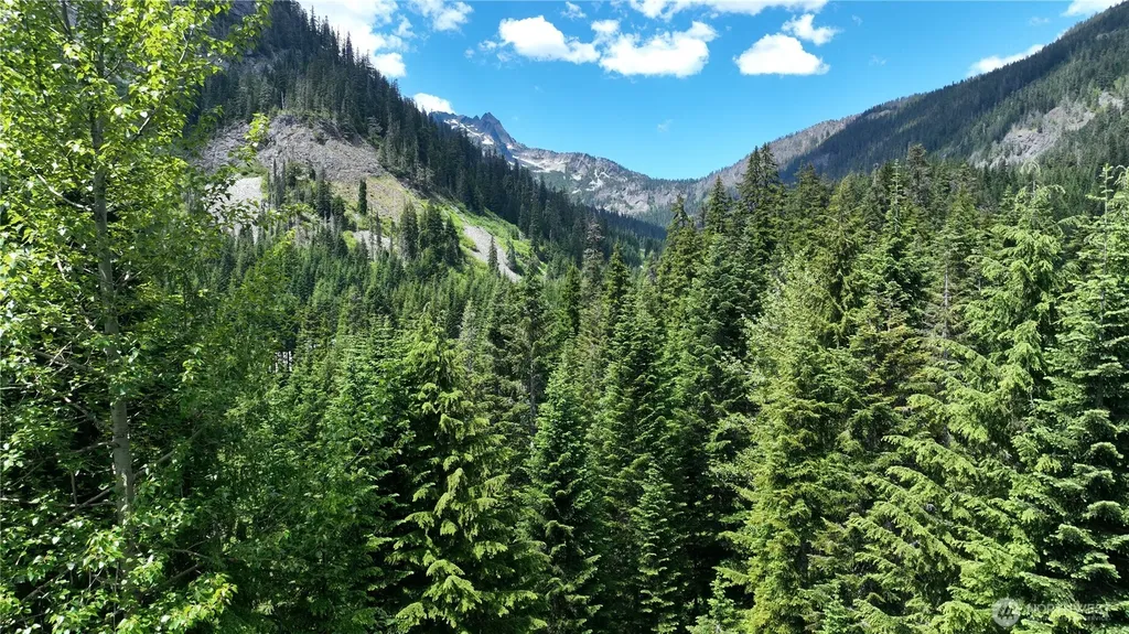 30 Saint Anton Snoqualmie Pass WA 98068
