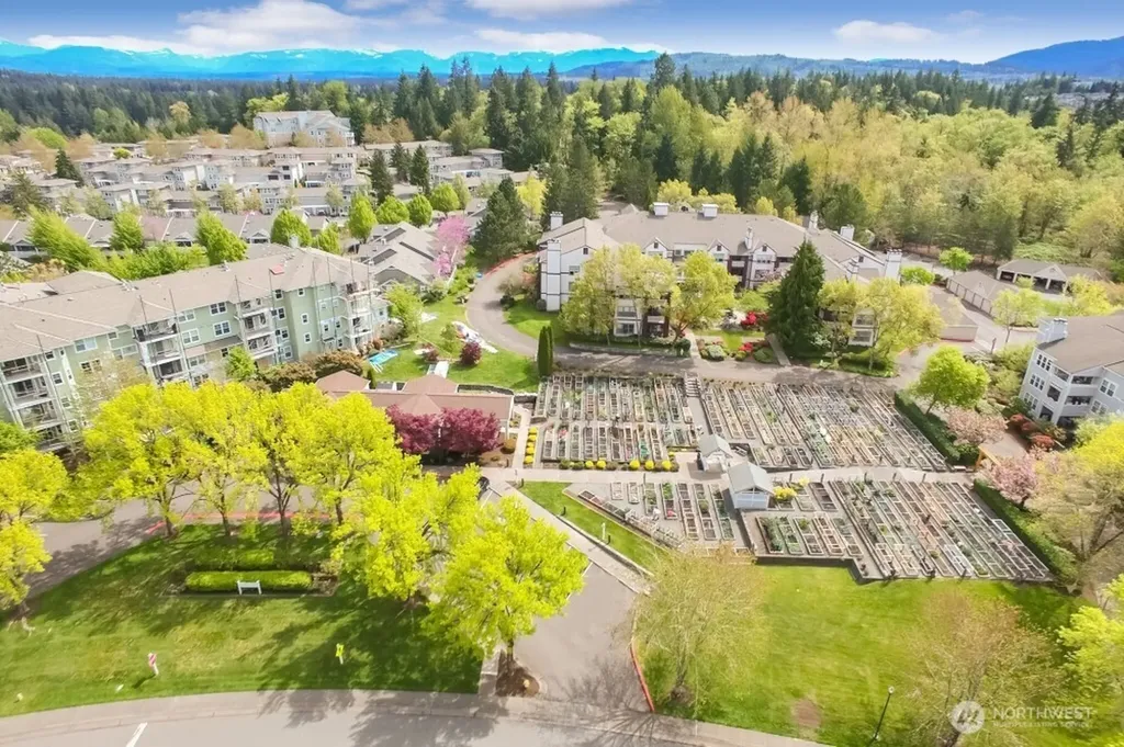 4117 Providence Point Drive SE Issaquah WA 98029
