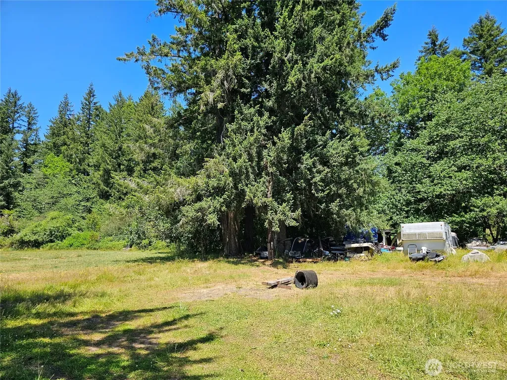 5 Elma Gate Road Oakville WA 98569