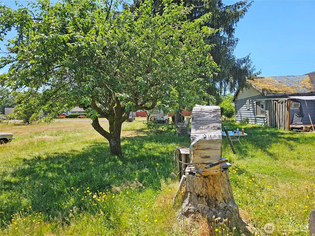 5 Elma Gate Road Oakville WA 98569