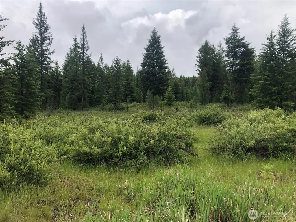 36 Corral Drive Oroville WA 98844