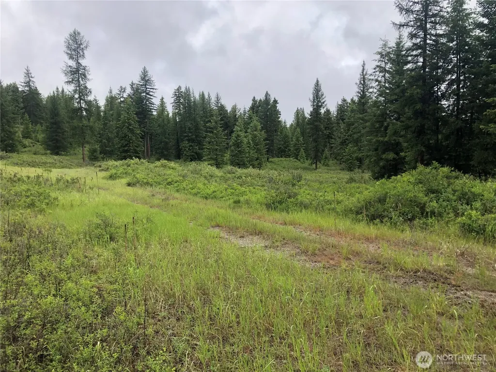 36 Corral Drive Oroville WA 98844