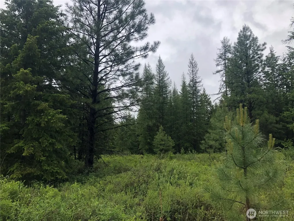 36 Corral Drive Oroville WA 98844