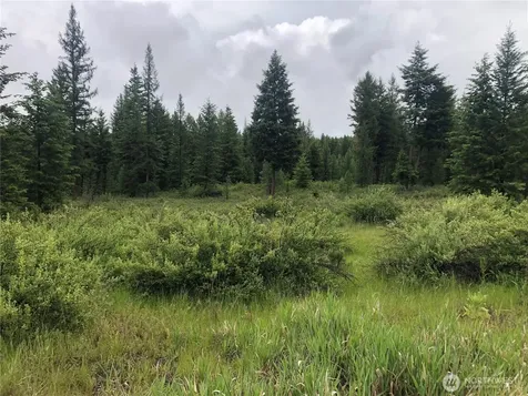 36 Corral Drive Oroville WA 98844