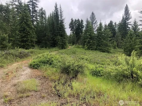 36 Corral Drive Oroville WA 98844